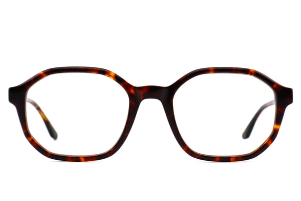 LT22 ISABELLE col.Tortoise